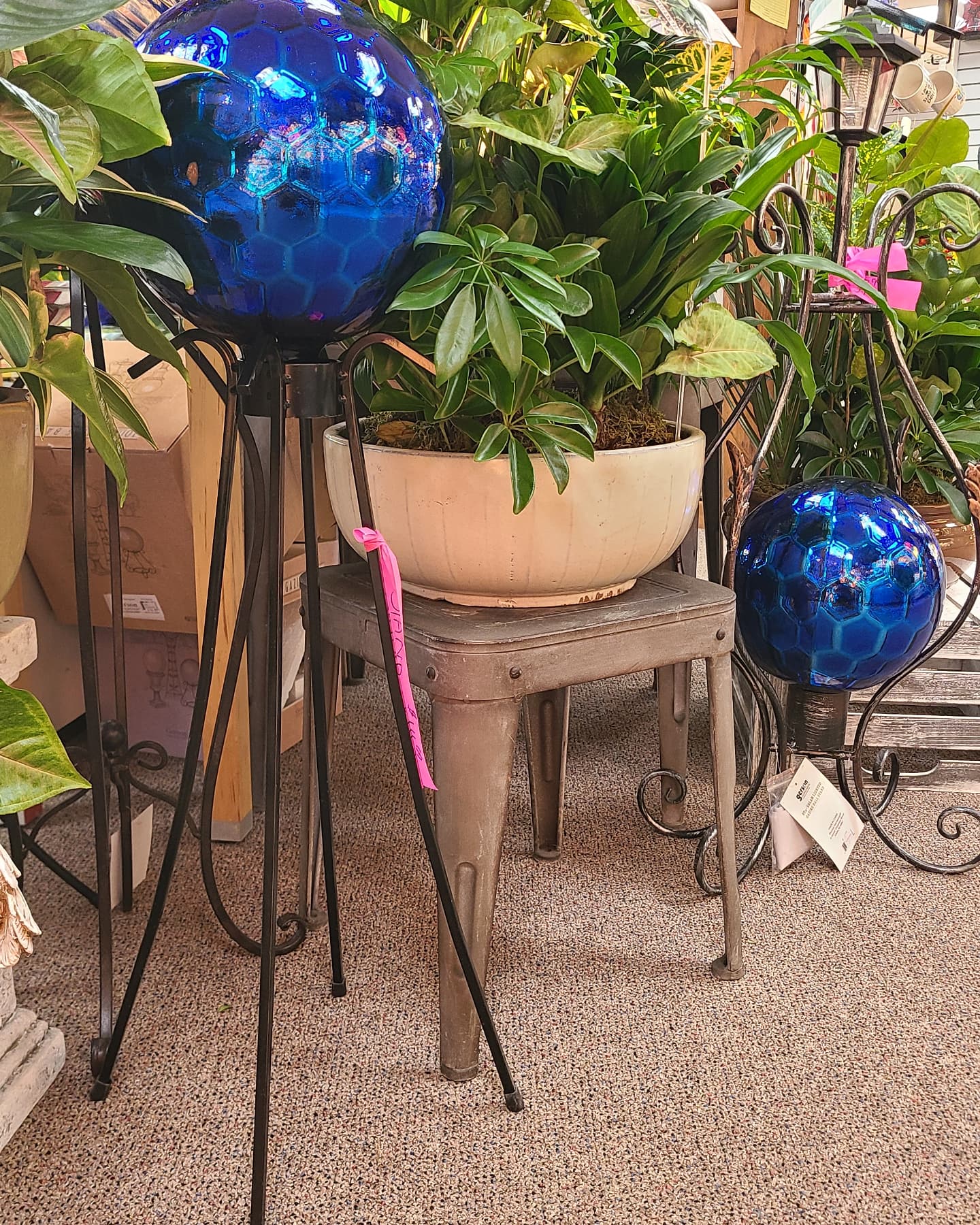 Flowerama Ames Image
