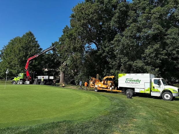 Images Friendly Tree Service Inc