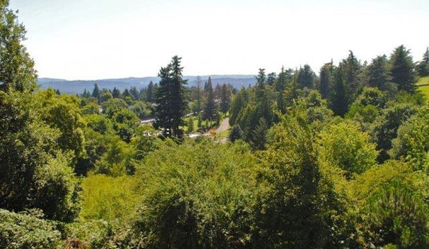 Images Commons at Sylvan Highlands Apartments