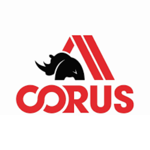 company logo