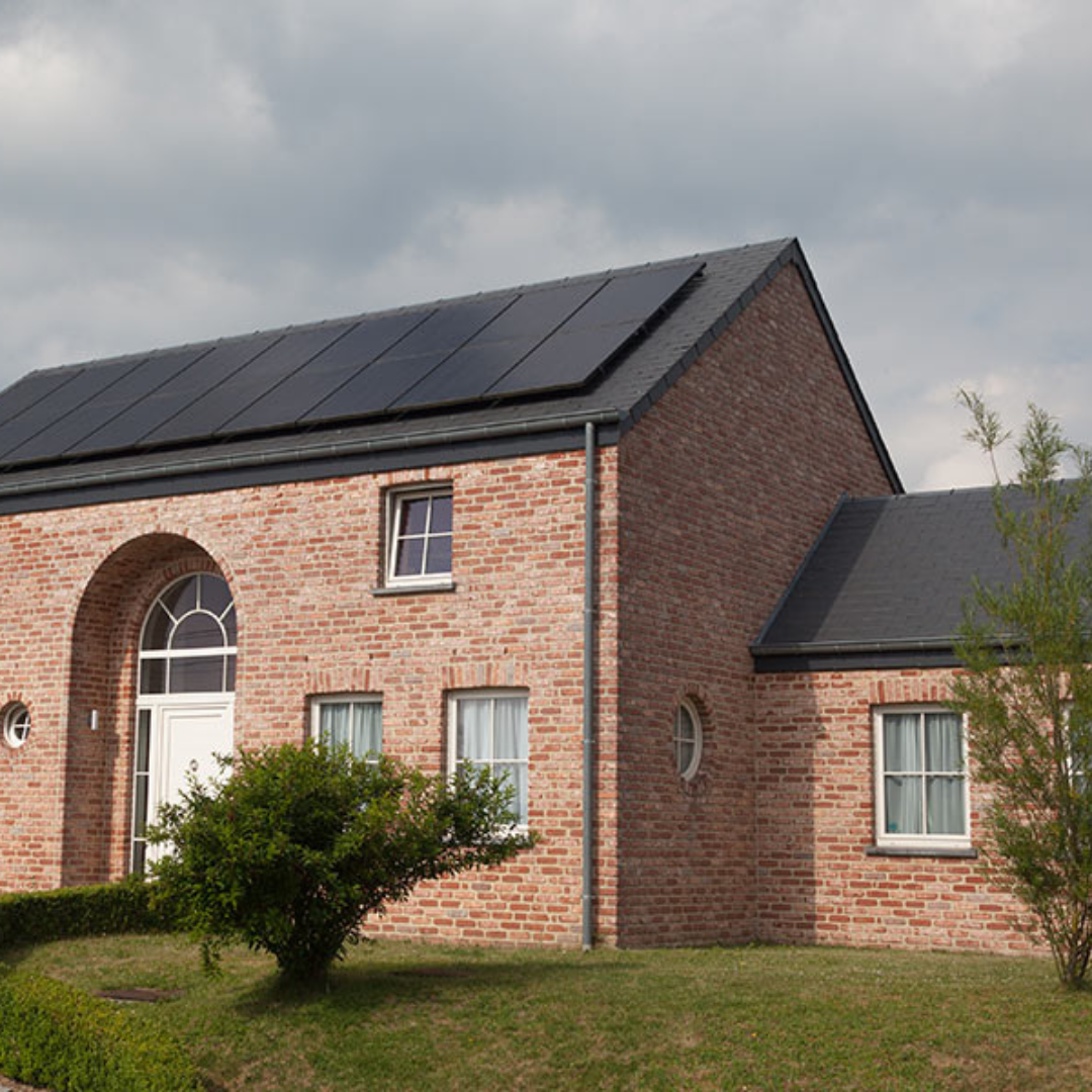 Learn more about our solar panel options!