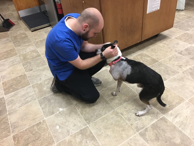 Images The Humane Society of Charlotte