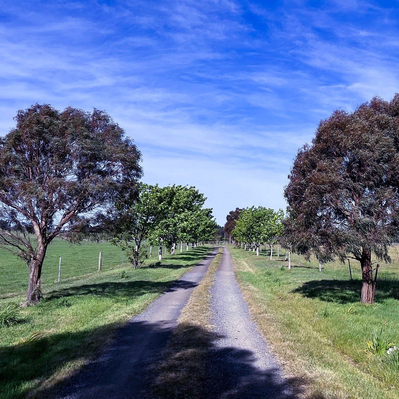 Images Nova Land Consulting