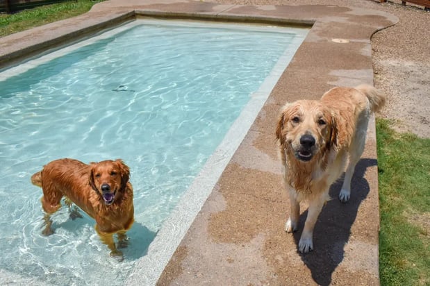 Images Tailwaggers Country Inn