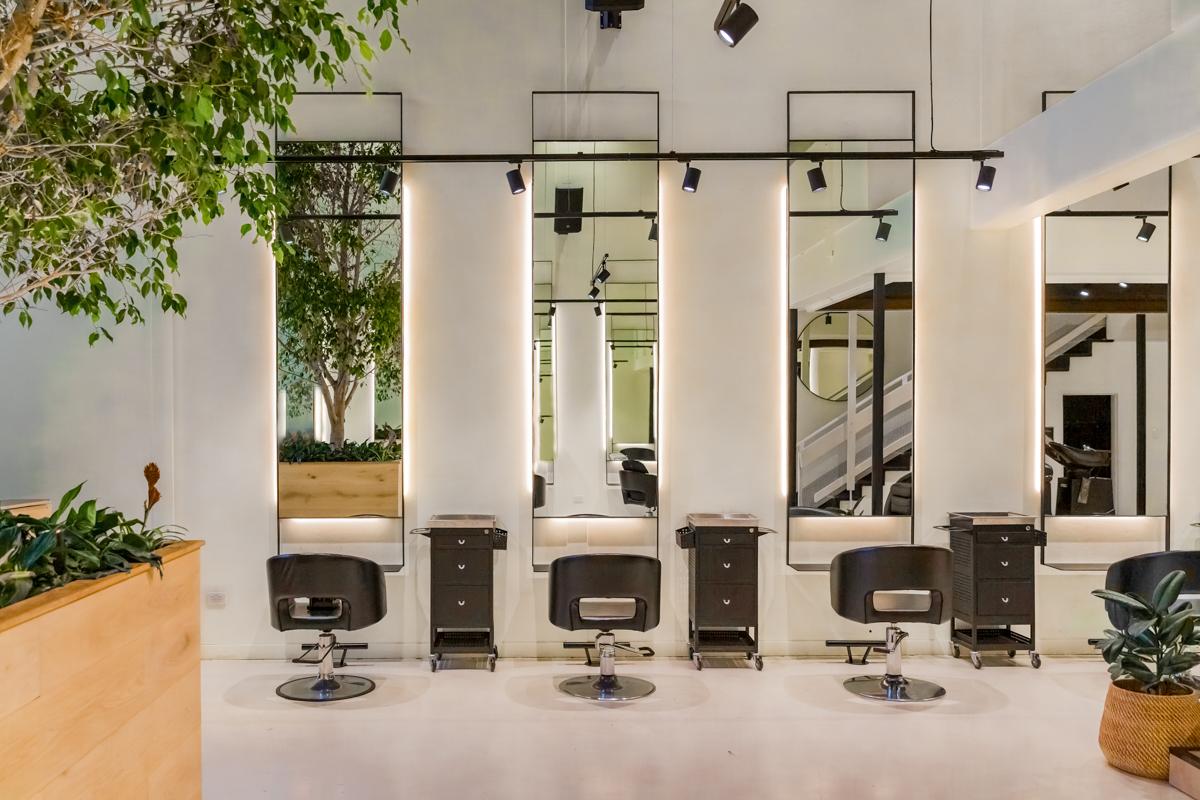 Images The Society Salon