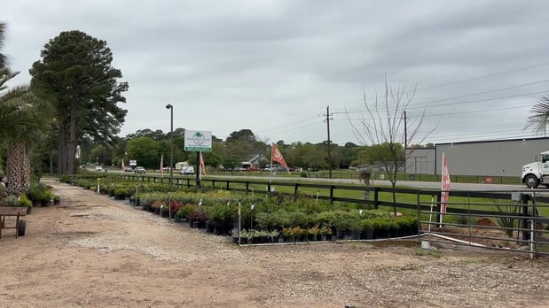 Images Rosehill Palms Landscaping & Garden Center