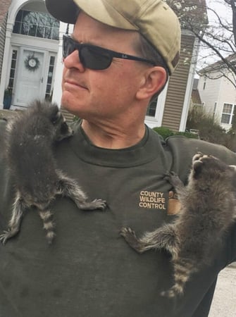 Images County Wildlife Control Inc