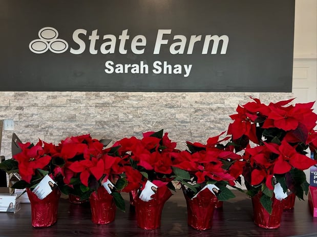 Images Sarah Shay - State Farm Insurance Agent