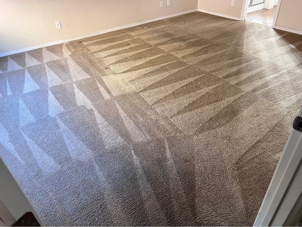 Images Clean It To The Max