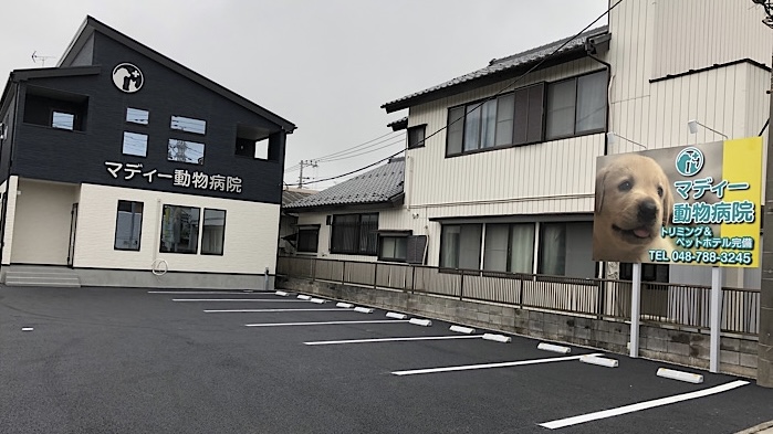 Images マディー動物病院 上尾医院