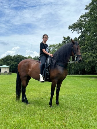Images Events, Horses & More, Corp.