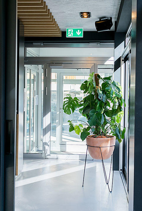 Don Barista, Belalpstrasse 12 in Brig