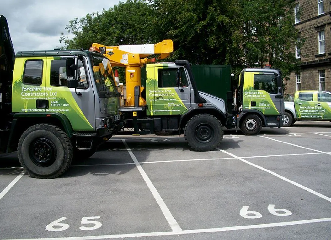 Images Yorkshire Tree Contractors