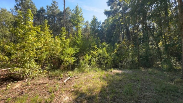 Images Superior Land Management & Solutions