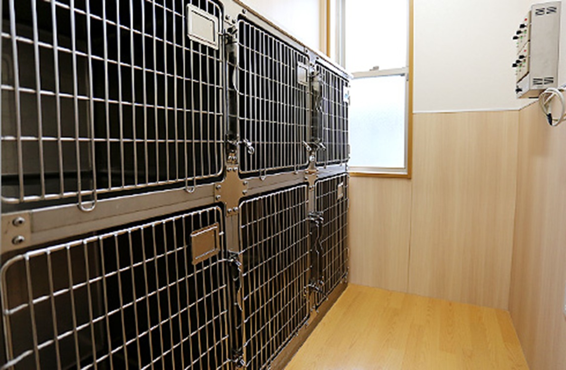 Images 南が丘動物病院