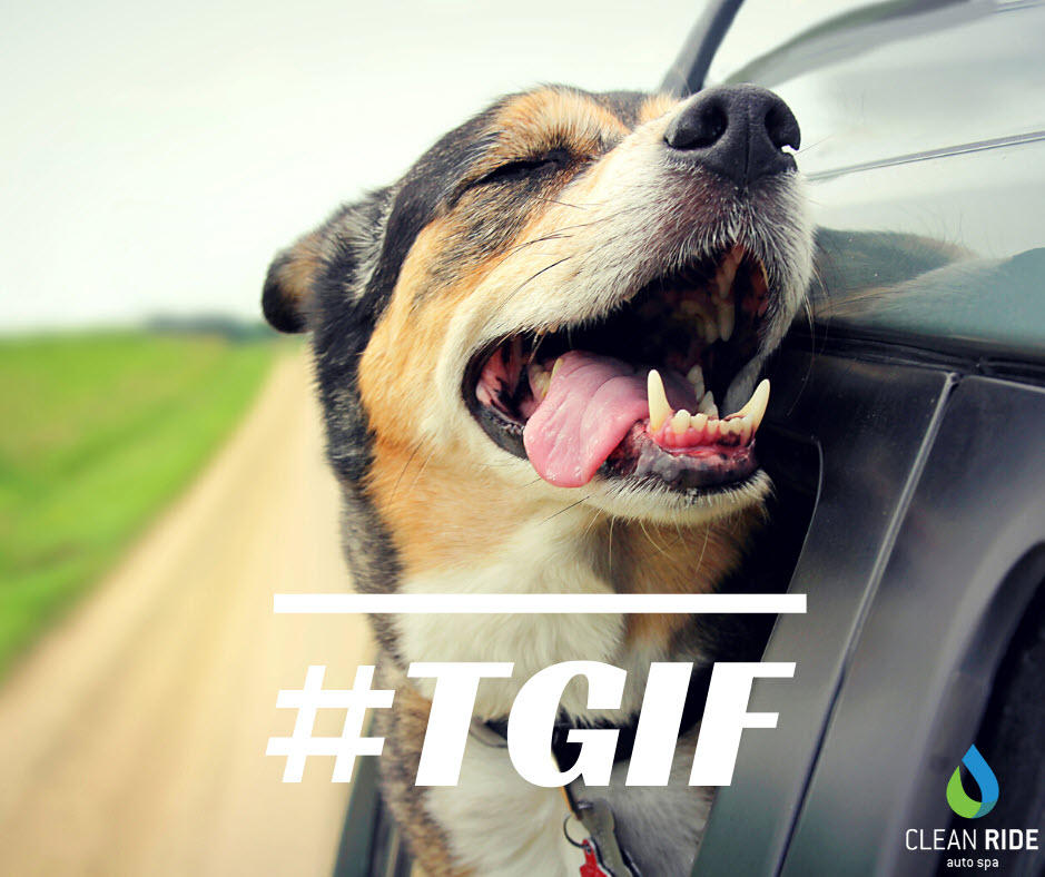 Clean Ride Auto Spa Photo