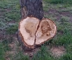 Mogote Meadow Cabins & RV Park Image