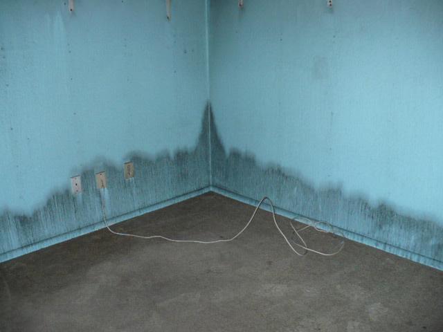 Can you spot the mold? SERVPRO of Central Schaumburg / West Bloomingdale can and we are here to help!