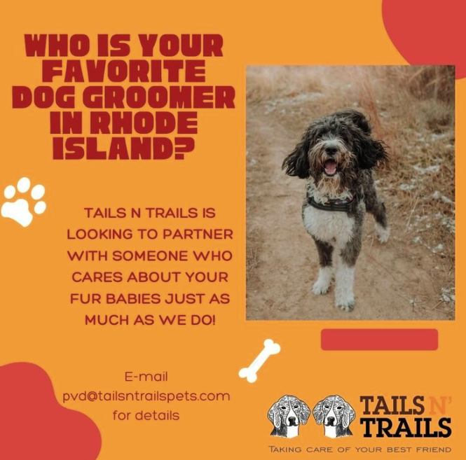 Tails N' Trails Pets, Newport County Dog walkerâ¨â¨ in Newport, RI.