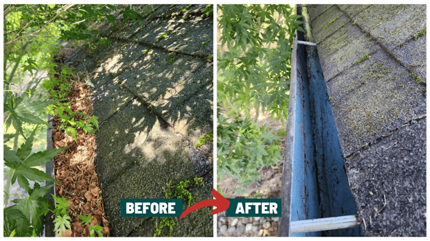Images NJM Roof & Gutter Cleaning