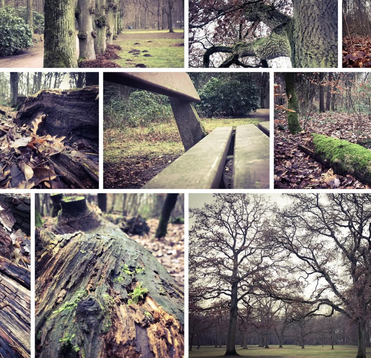 Nordfoto Akademie - Fotokurse, Workshops und Fotografie-Lehrgänge, Ruhrstraße 13 in Hamburg