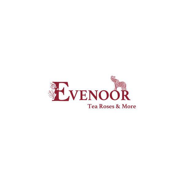 EVENOOR Tea Roses & More Logo