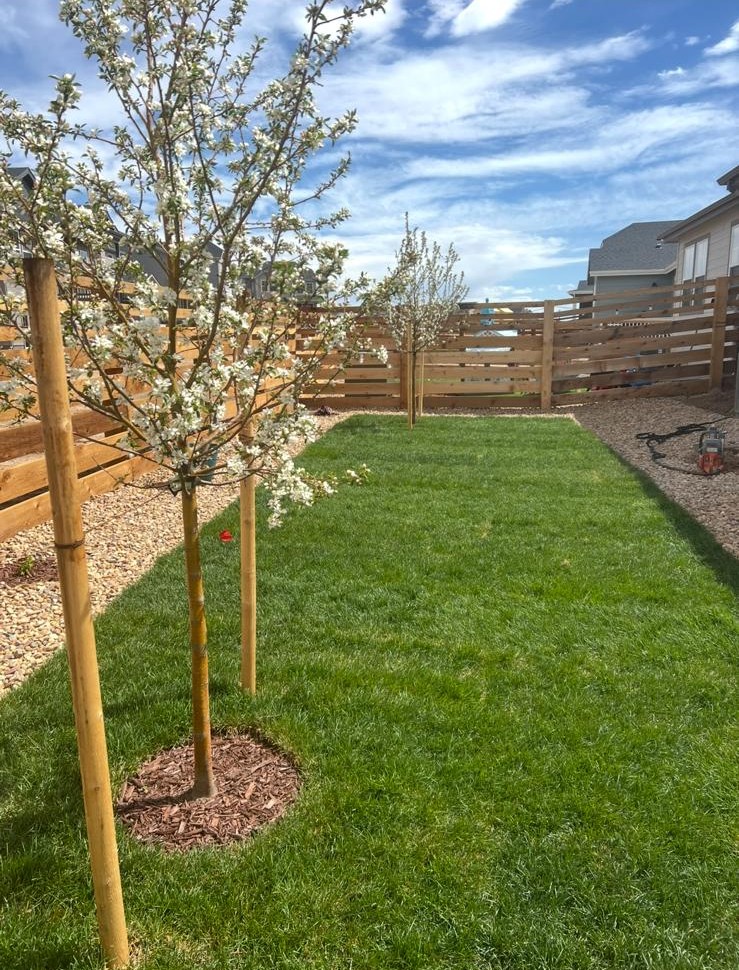 ED Landscape LLC Image