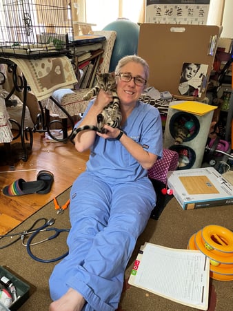 Images Dr. Robins Housecall Veterinary Services