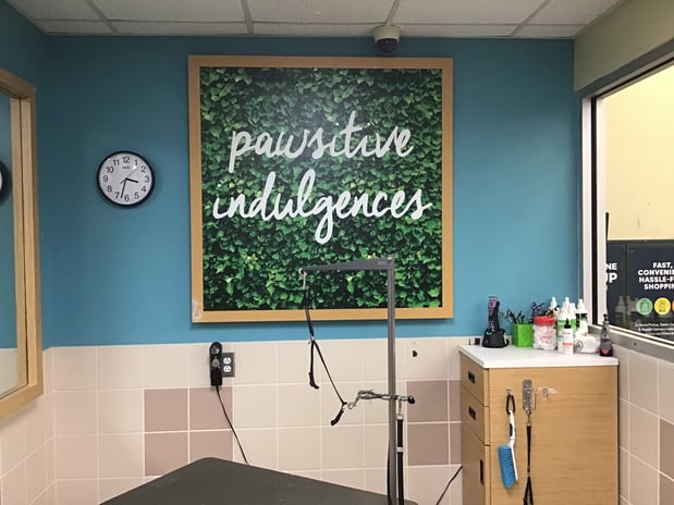 Images Petco Grooming