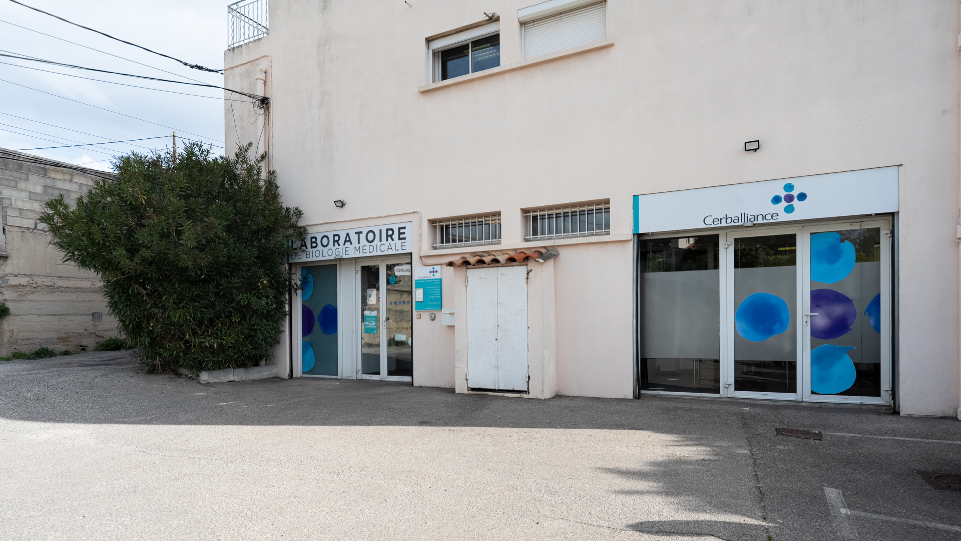 Miniature de la galerie