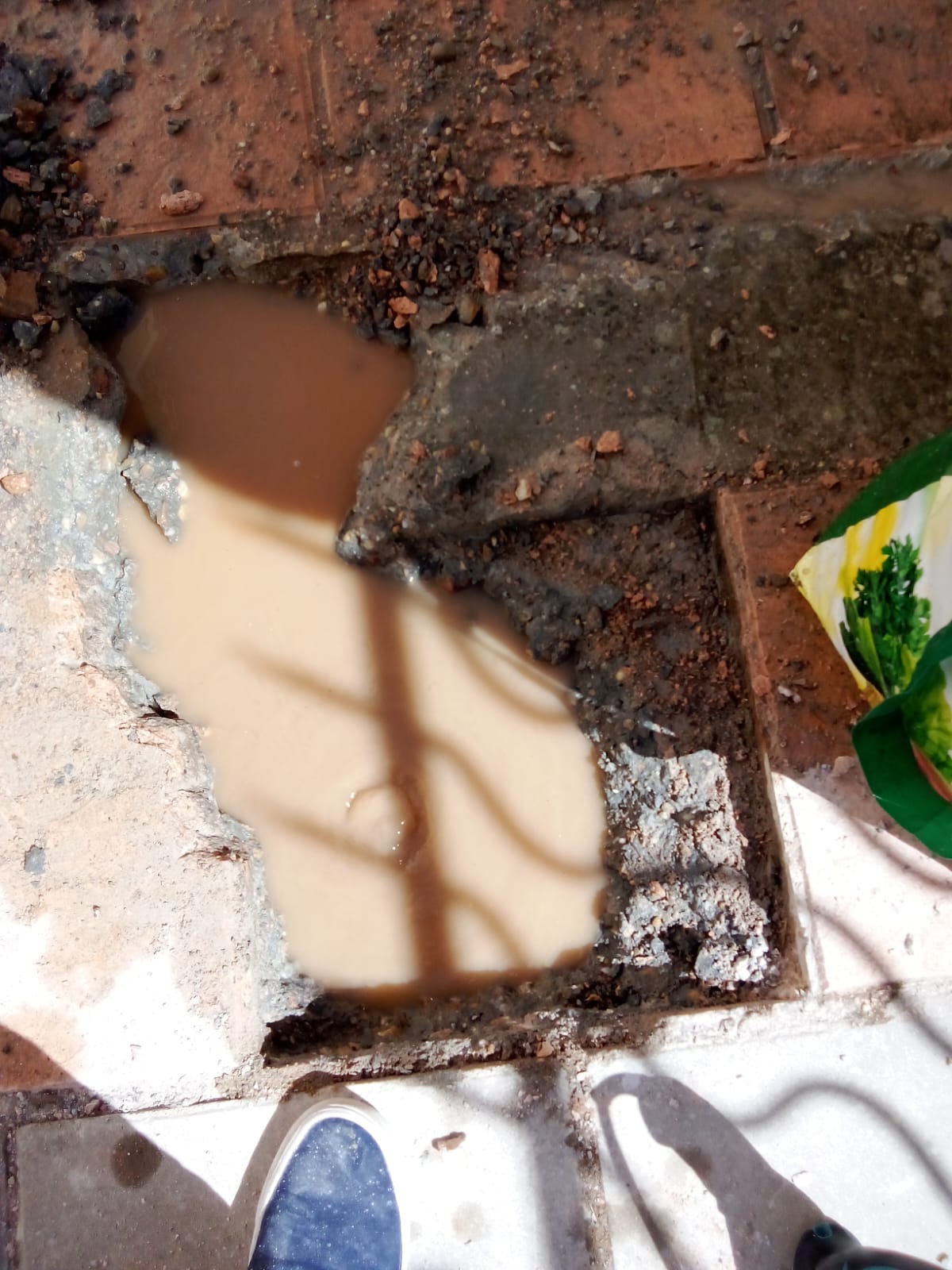 Images Reformas Carlos William