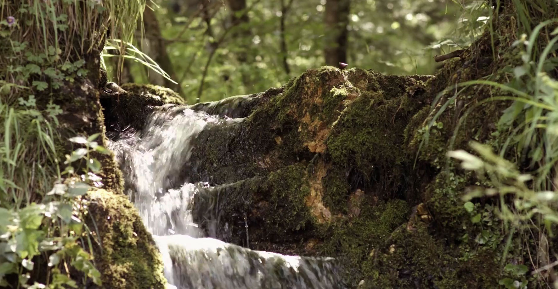 Bild 3 von VITA LIFE HandelsgmbH