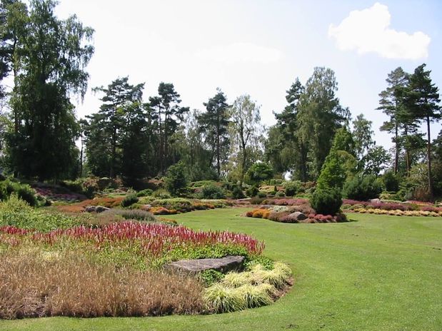 Images Minh's Landscaping