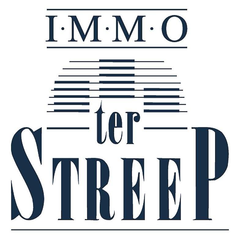 Immo Ter Streep Logo