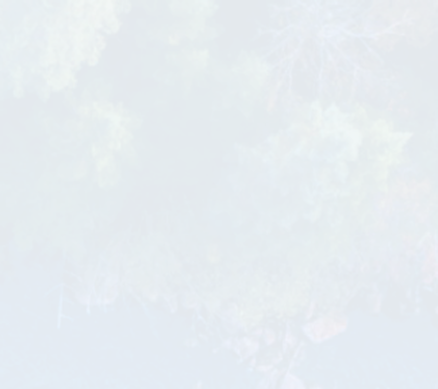 An aerial view of a green boreal forest and river in Quebec.