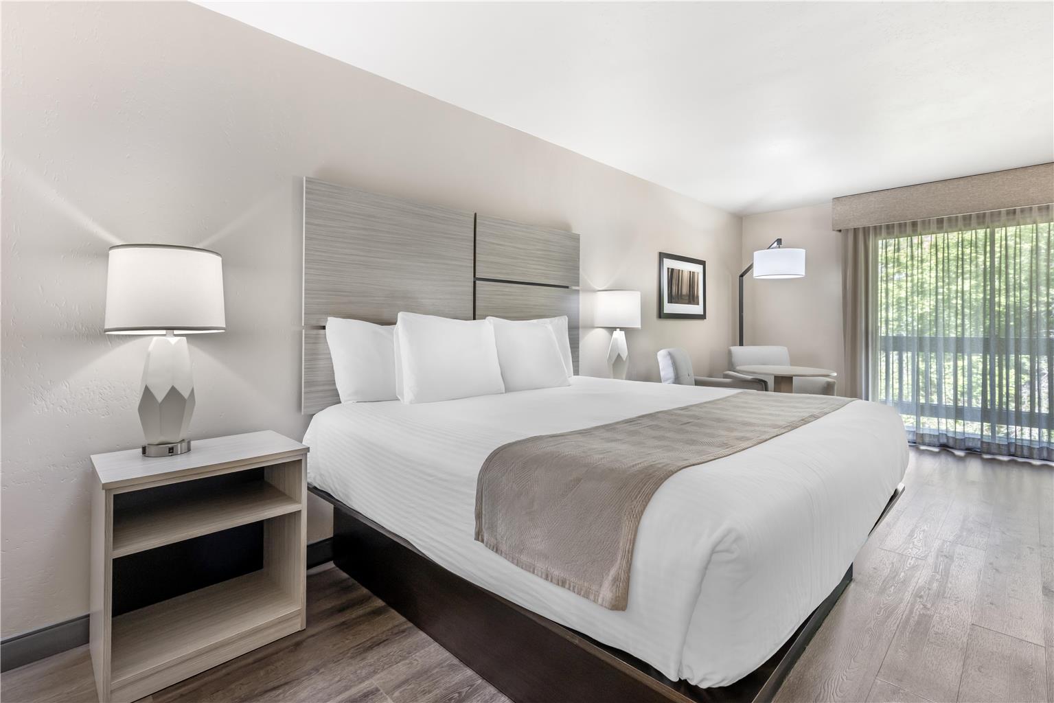 1 King - Pet Friendly - Balcony