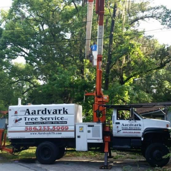 Aardvark Tree Services, LLC Photo