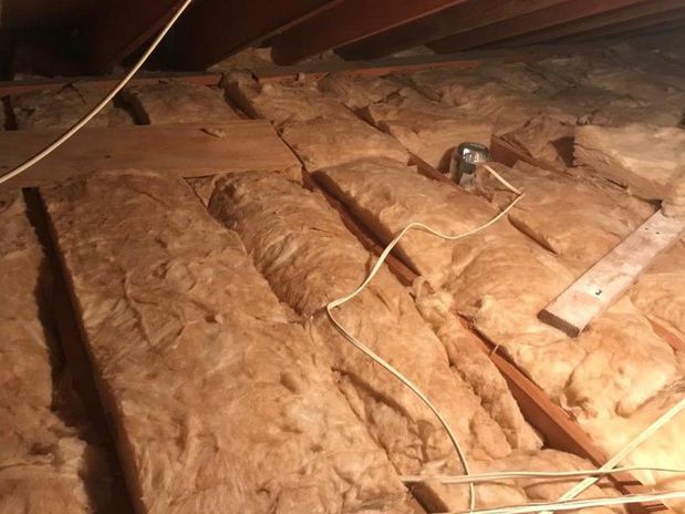 Images Rodent Solution