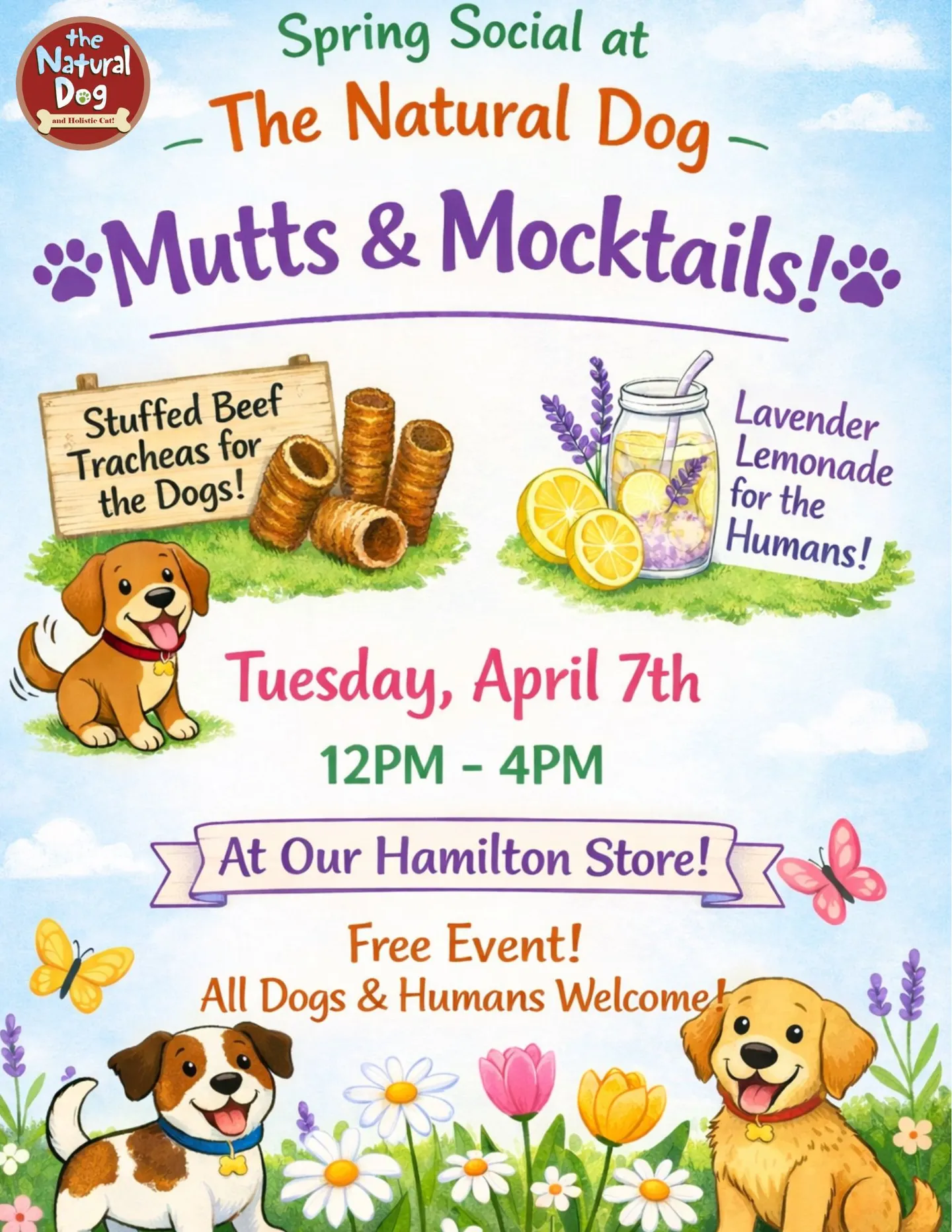 Image of Local Pet Event Spring Social Nearby