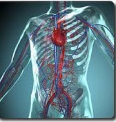 Images Luppino Dott. Giuseppe e Luppino Dott. Giovanni