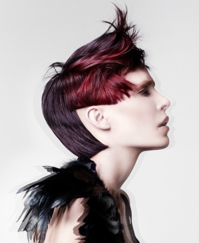 Images The Assembly Hair