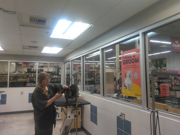 Images Petco