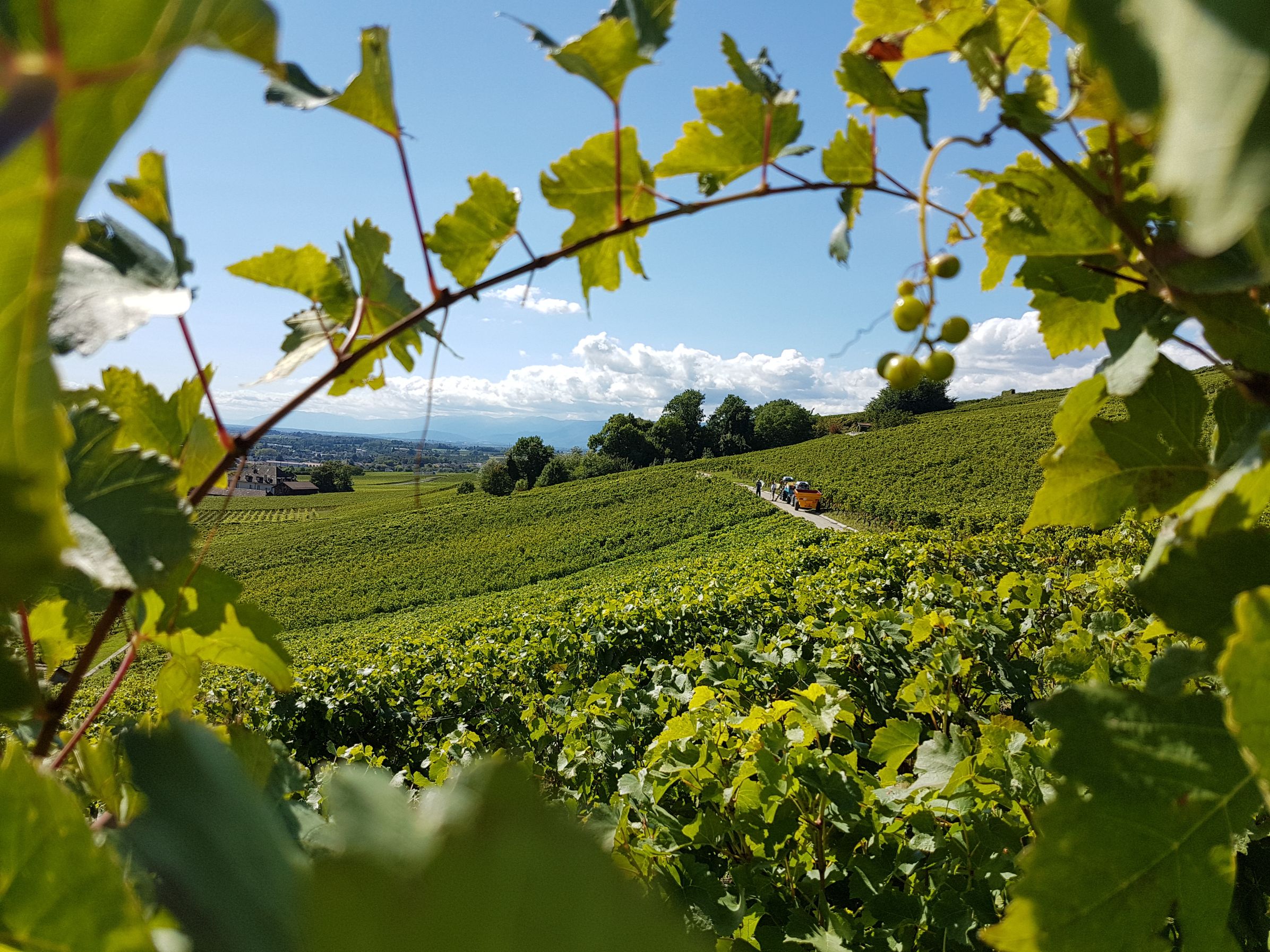 Bilder La Vaudoise des Quatre Vents