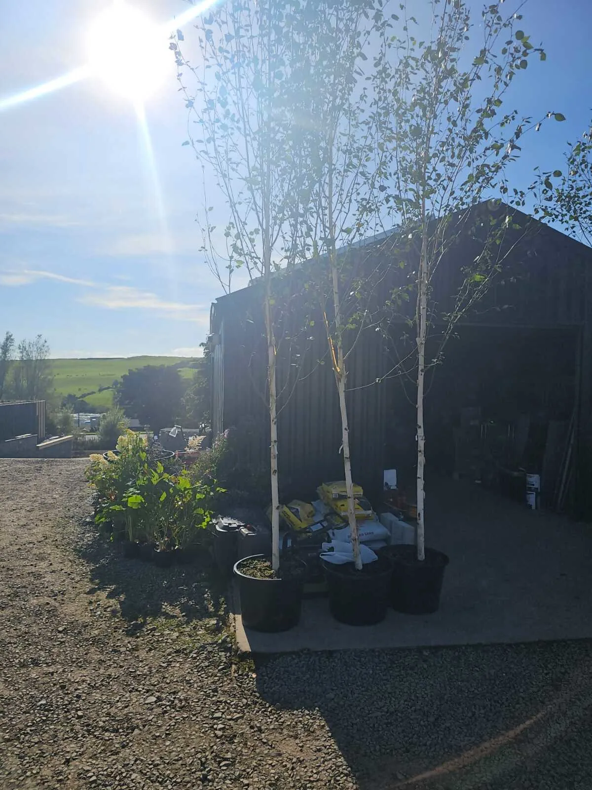 Images Moss Hill Landscapes