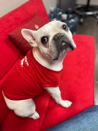 Images Crystal Martinez - State Farm Insurance Agent
