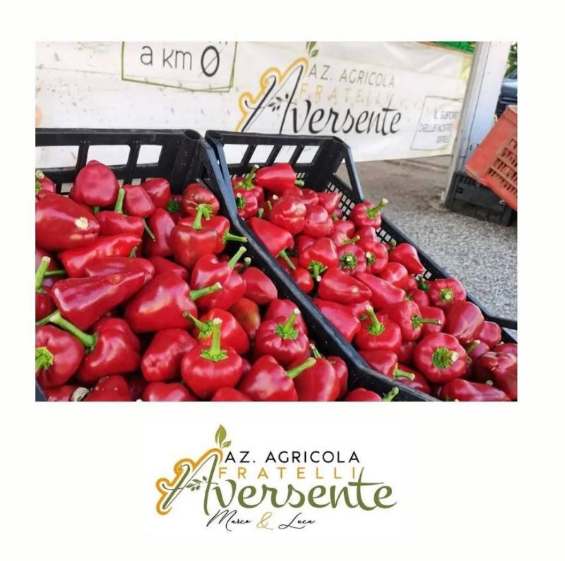 Images Azienda Agricola Aversente