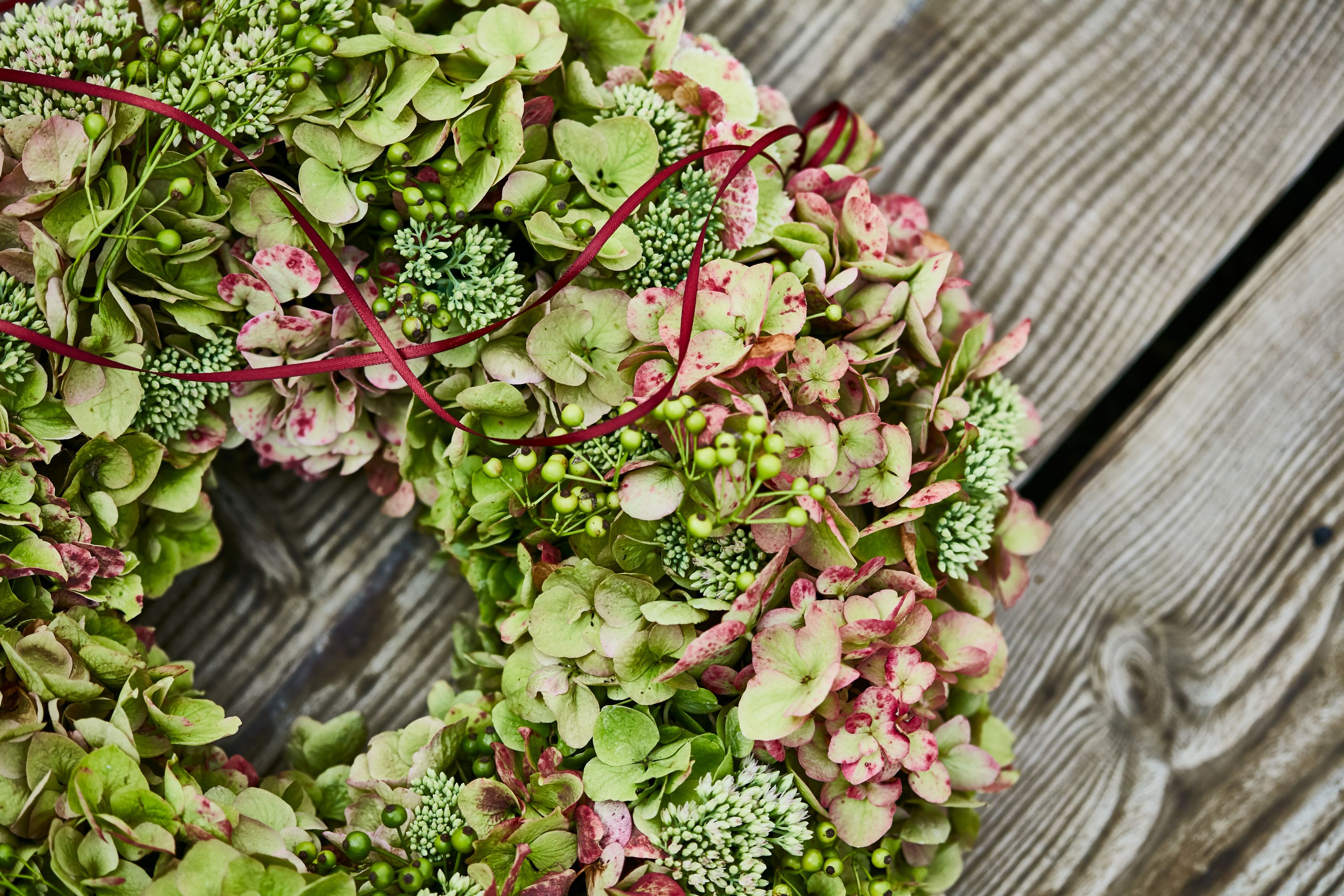 Bilder Gärtnerei Allemann GmbH