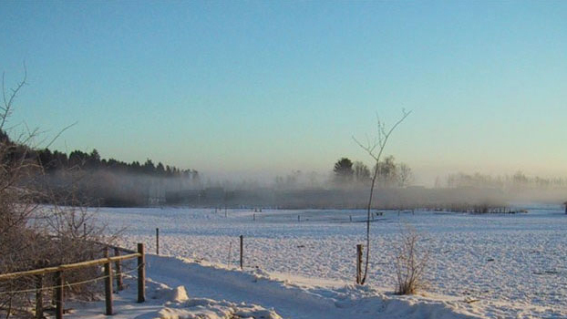 Images Småskolen på Peterslyst Ridecenter