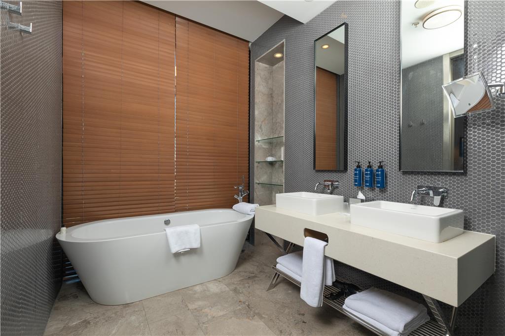 Images Radisson Blu Hotel, Istanbul Asia