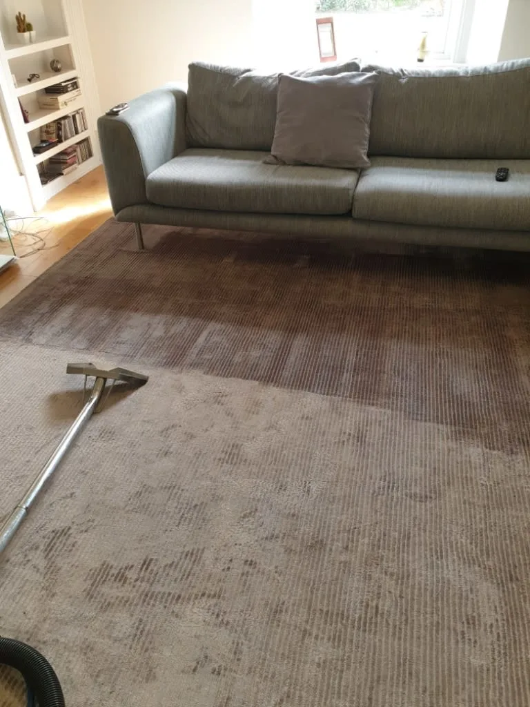 Images Johnshaven Carpet Cleaning Services